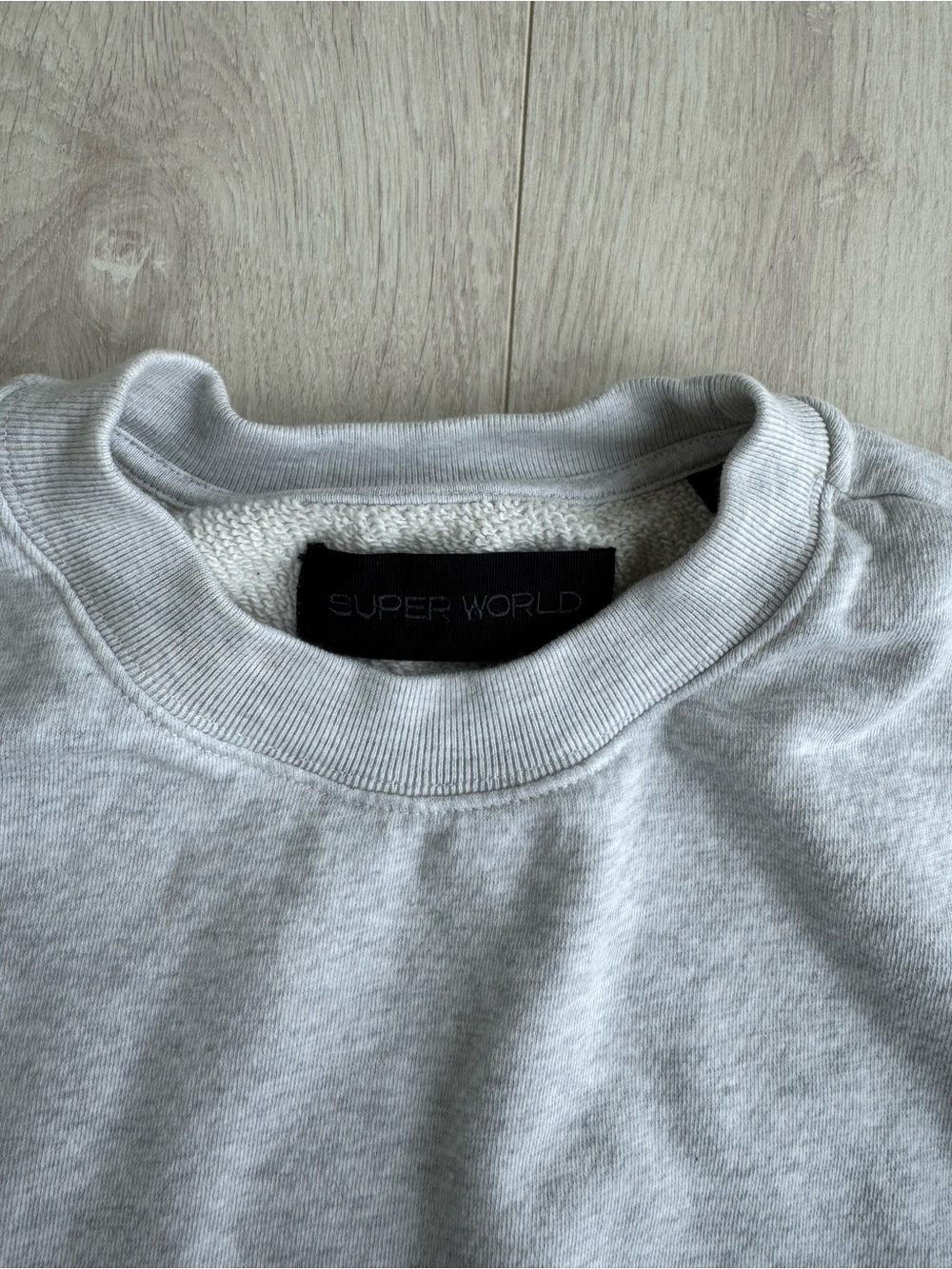 Aritzia Men's “Superworld” Crewneck Sweatshirt - Picture 3 of 7